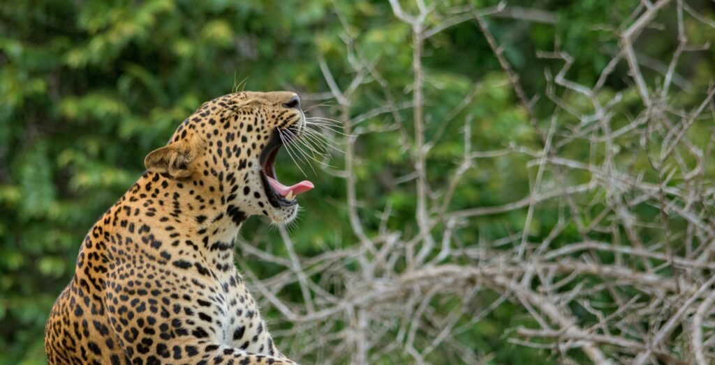 10 DAYS 9 NIGHTS (18)